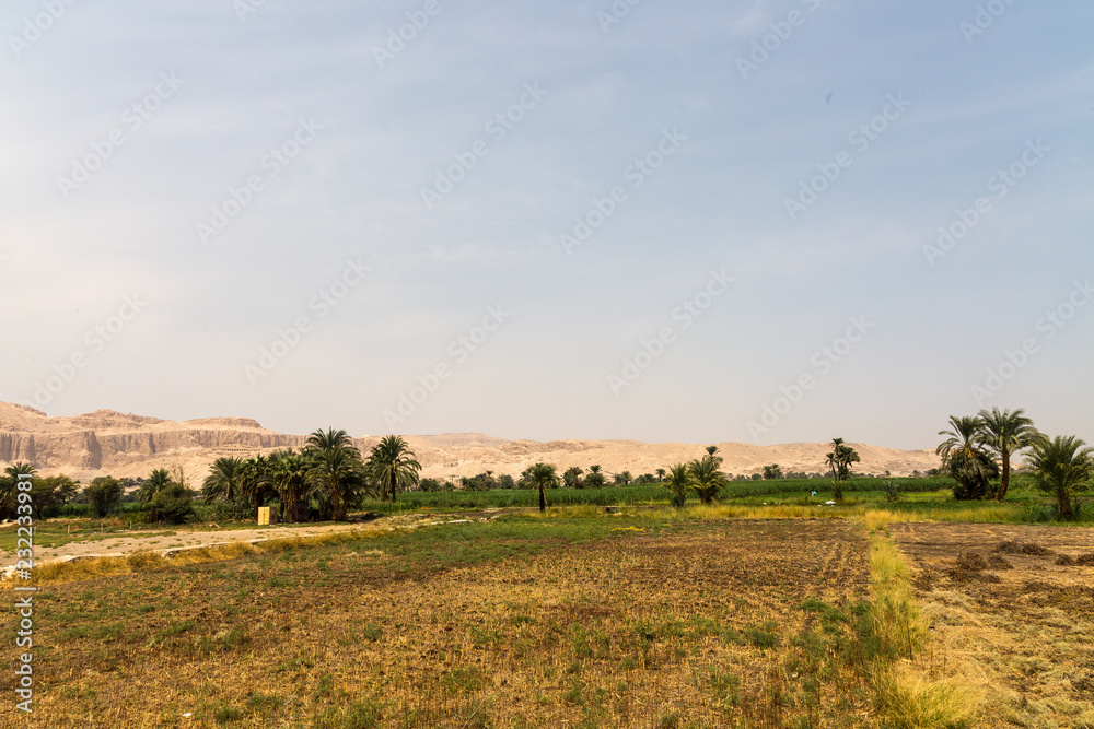 Landscape near Luxor