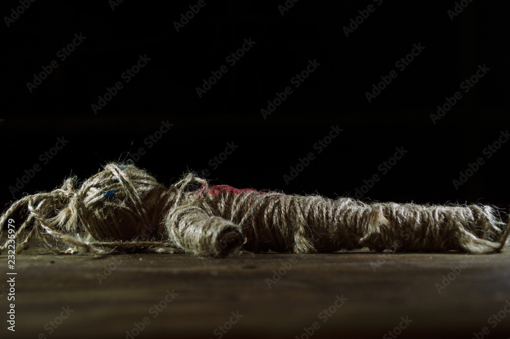 Obraz premium Voodoo Doll