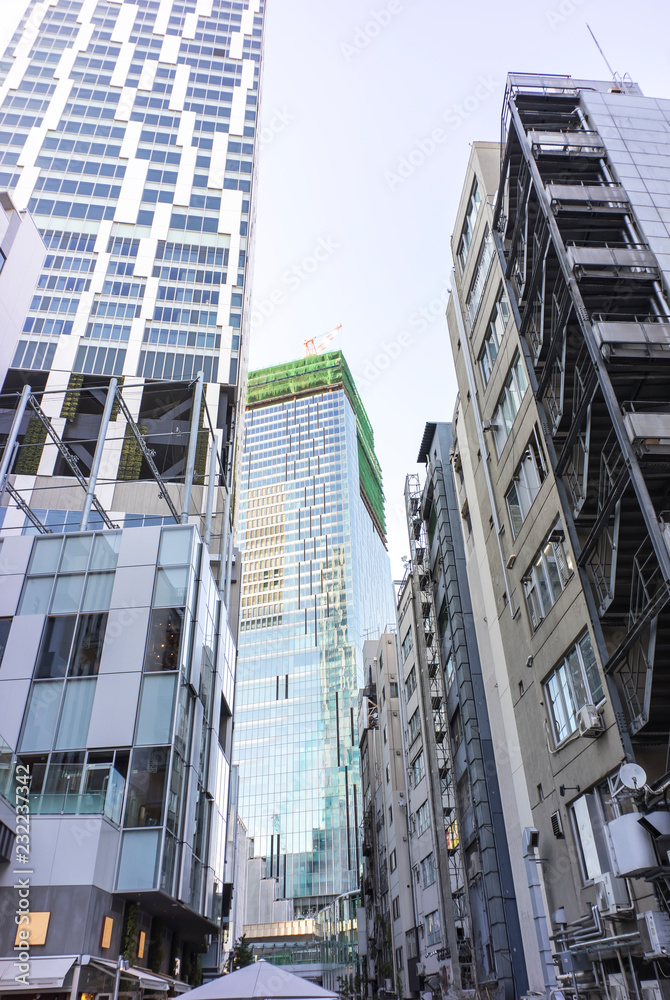 Obraz premium new town scape in Tokyo Shibuya