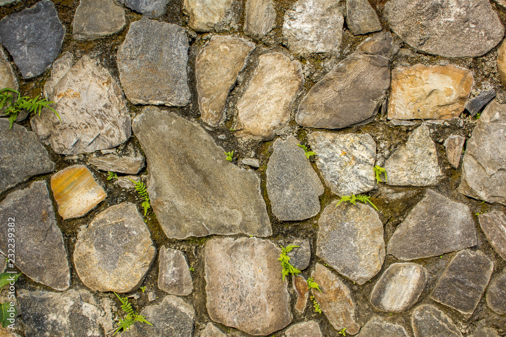 a wall of various large natural stones with small green vegetation. wall with moss. rough wall surface texture. gray, blue and white stones. a wall of various large natural stones with small green vegetation. wall with moss. rough wall surface texture. gray, blue and white stones.