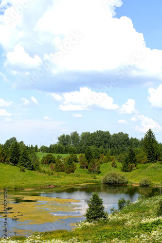 Fototapeta Naklejka Na Ścianę i Meble -  Warm beautiful summer landscape with lake and grass. A pond on a background of greenery and blue sky