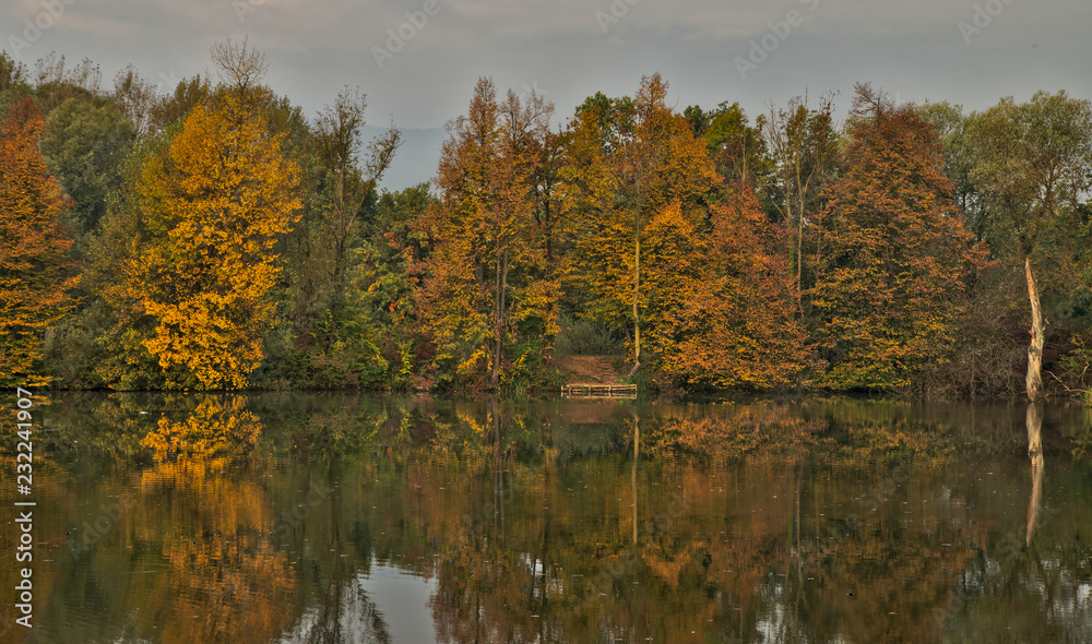 Scenic marshland during autumn time