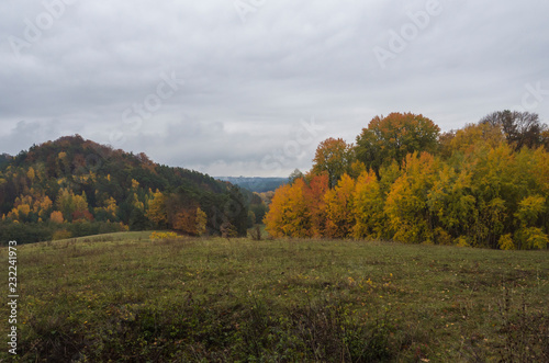 green meadow with autumn colorful beech forest and trees and hills in nature reserve Cesky Raj, moody blue sky