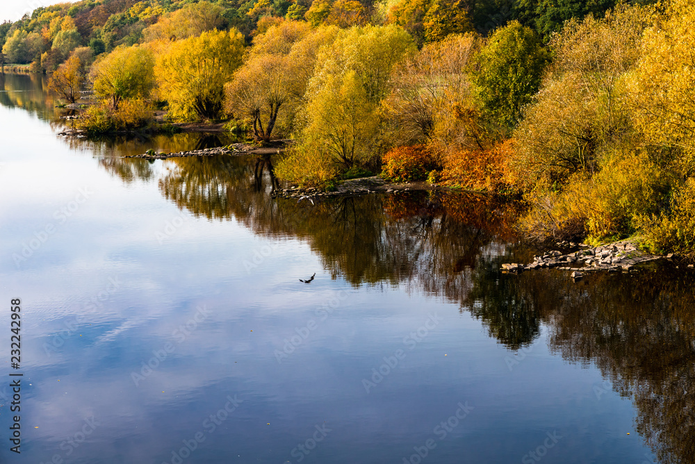 Fluß Ufer Laub mit Herbst Farben