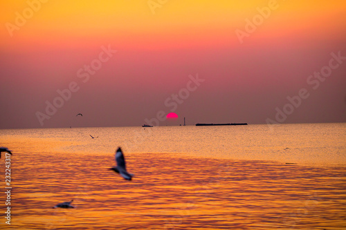 Fototapeta Naklejka Na Ścianę i Meble -  The background of the colorful silhouette of the evening sun is golden yellow, with sea water and gulls swimming or flying above the water surface, is a natural beauty.