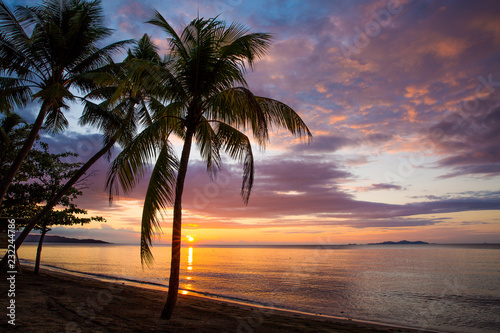 Romantic pink sunset. Sun above the horizon  Coconut palm trees on the beach. Sun beam reflection on the water  pink and purple clouds