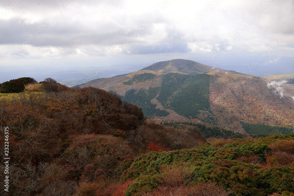 Fototapeta premium くじゅうの紅葉