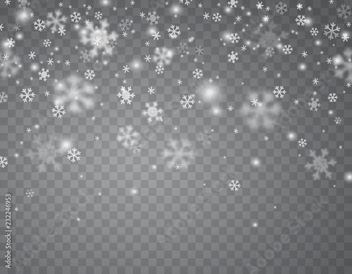 Snow flakes falling isolated on transparent background. Vector christmas snowfall overlay texture, white snowflakes flying in winter air.