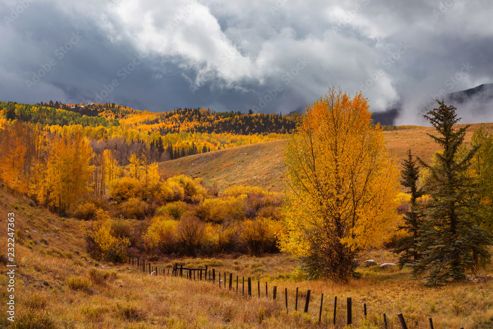 Fototapeta premium Autumn in Colorado