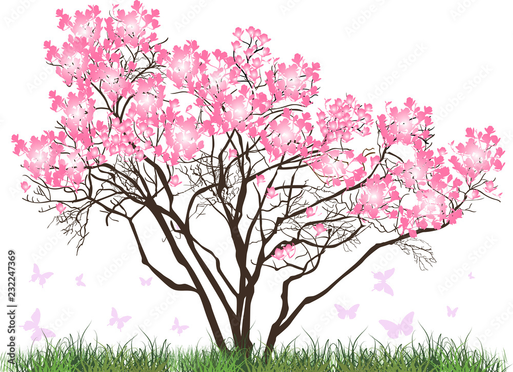pink magnolia blossom tree in green grass