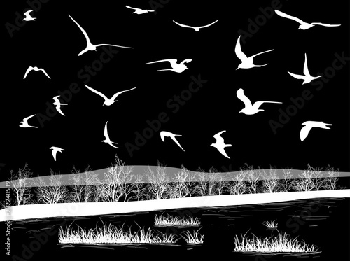 seagulls above sea shore isolated on black