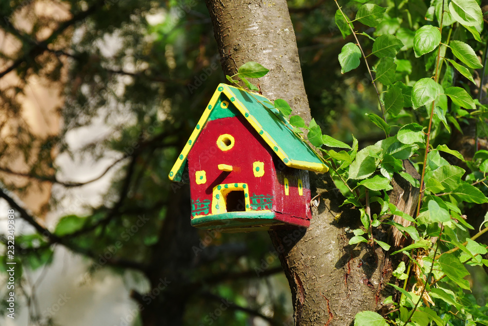 Colorful birdhouse on the tree in the garden Colorful birdhouse on the tree in the garden
