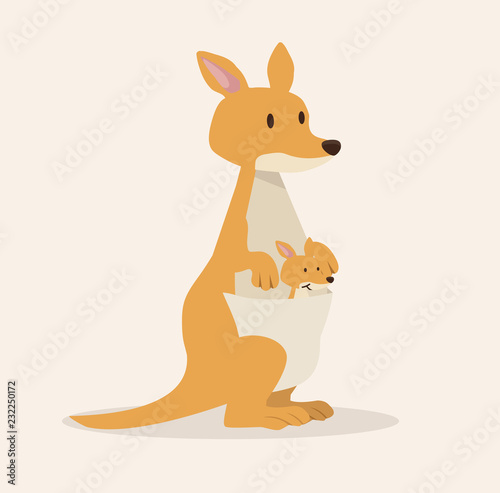 Kangaroo With Baby Kangaroo