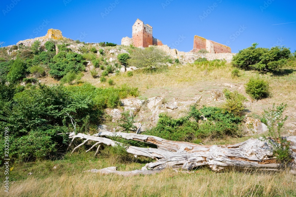 Fototapeta premium Hammershus castle - the biggest Northern Europe castle ruins situated at steep granite cliff on the Baltic Sea coast, Bornholm, Denmark