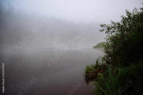 Natural background: misty landscape at dawn by the river in the forest on a summer morning.