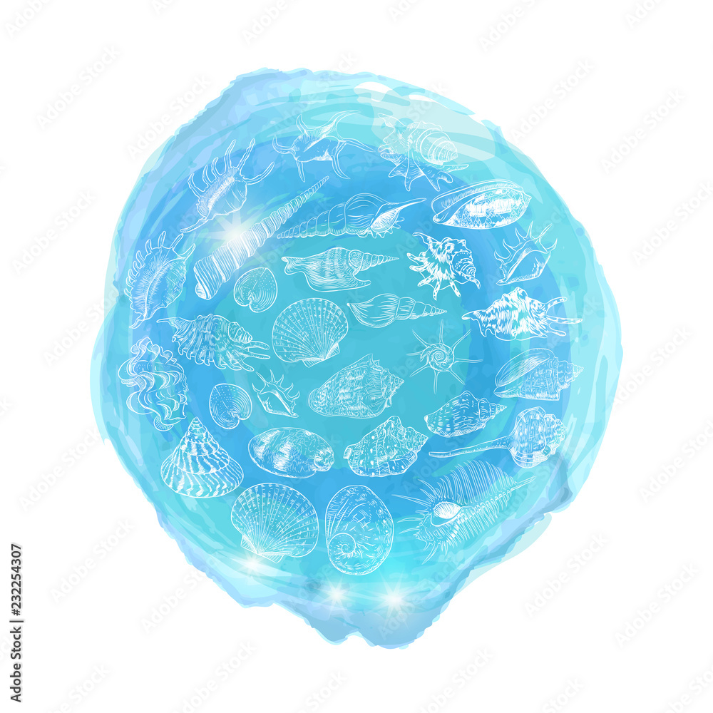 symbol of the ocean trendy print Round composition on white. Summer sea shells, molluscs on blue abstract background. Circle wreath card banner design with space for text. Vector symbol of the ocean trendy print Round composition on white. Summer sea shells, molluscs on blue abstract background. Circle wreath card banner design with space for text. Vector