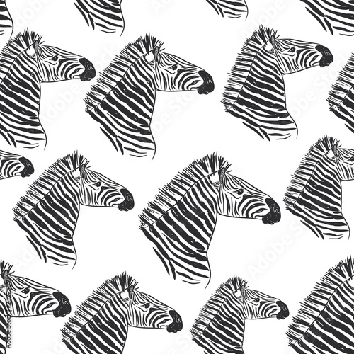 Seamless pattern Zebra portrait  Head sketch isolated on white background. Vector