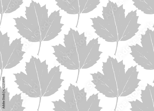 Seamless pattern grey leaves maple, viburnum, guelder rose silhouettes isolated on white background. Can be used for fabrics, wallpapers. Vector