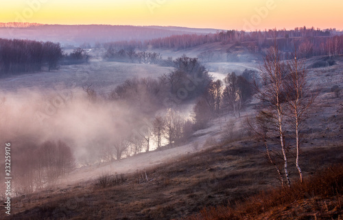 Beautiful spring landscape with the fog lit with a rising sun © Igor Dmitriev