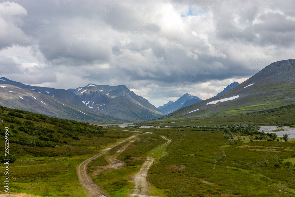 Roads in the tundra in summer, top view