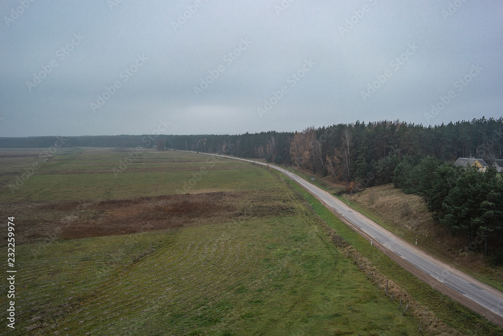 Bird's eye view from the drone to an empty road through the forest with high trees.