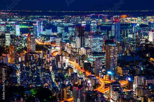 tokyo tower and city skyline under blue night © voyata