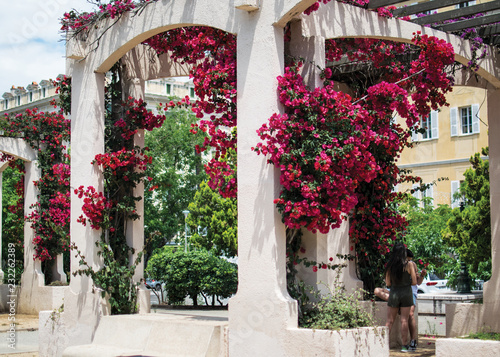 Arch with flowers © Svetlana