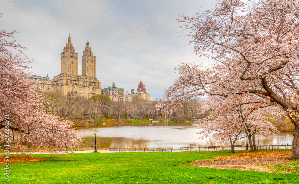 Central Park, New York City in spring