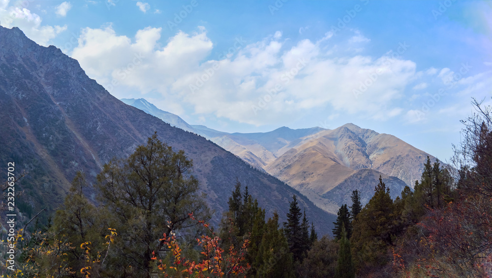 Obraz premium view of the mountains through the tops of trees on a clear day