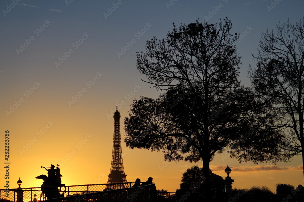 Arbre et tour Eiffel au coucher du soleil