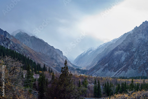 mountain misty ravine with low floating clouds above the mountain river © Юрий Кузнецов