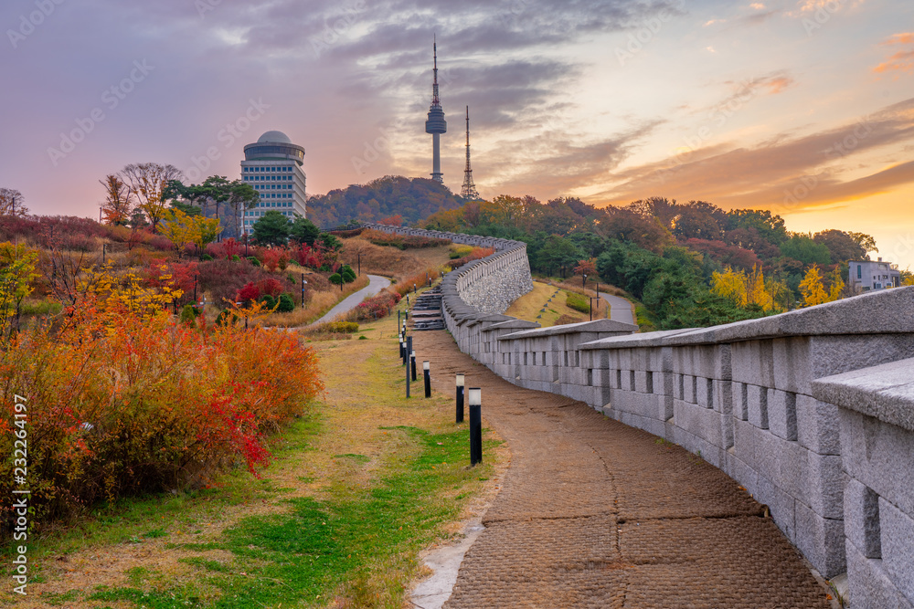 Fototapeta premium N Seoul Tower In Autumn, South Korea