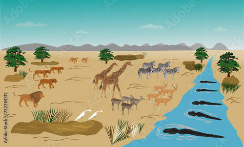 Herd of animals standing on the river. Because run out. From the swarm of lions. And the crocodile in the water