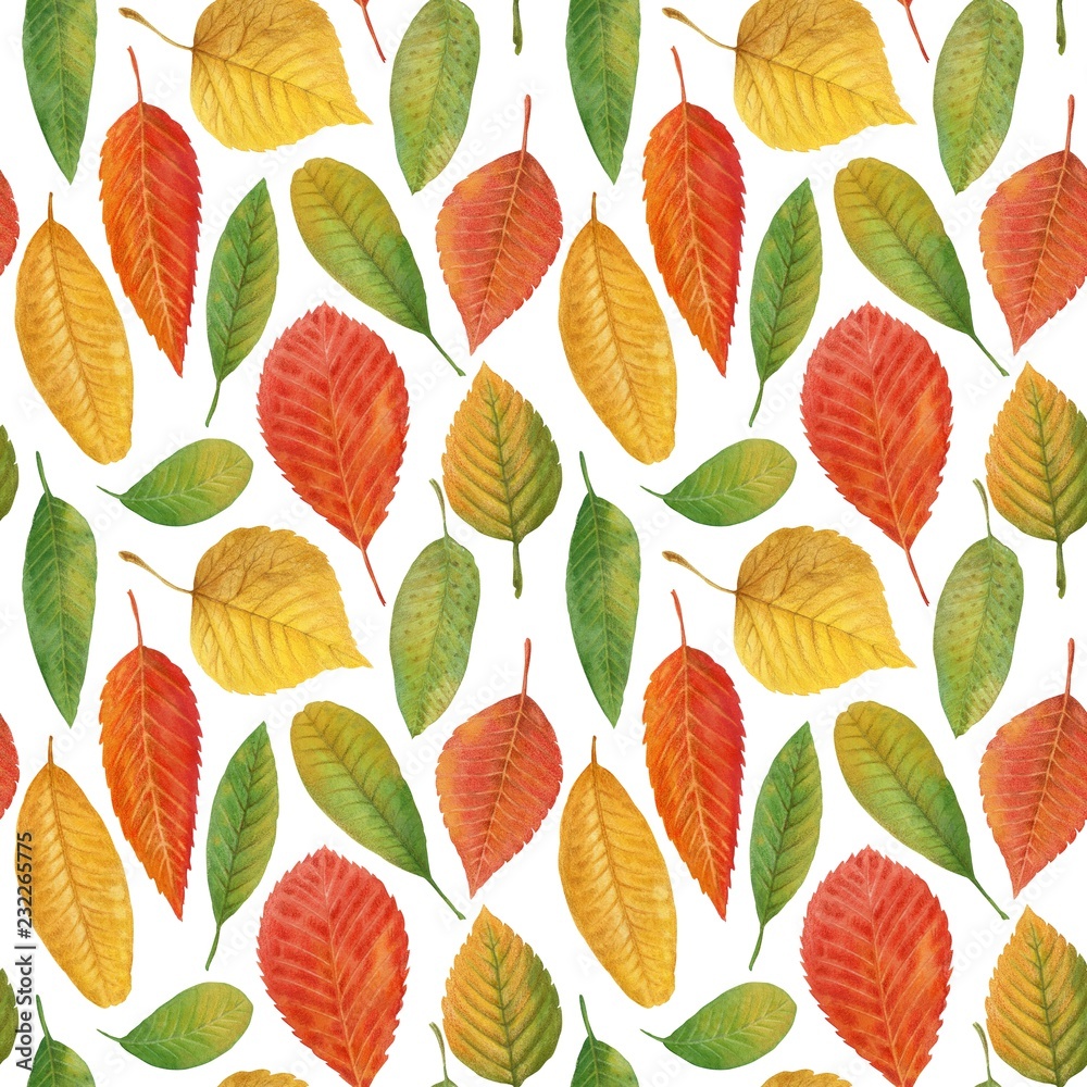 Fototapeta premium Hand-drawn autumn foliage. Watercolor and pencils. Seamless pattern autumn leaves lovely print for wrapping paper, postcard, fabric, background.