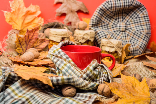 Mug cozy aromatic tea beverage in scarf and treats. Cozy autumnal atmosphere. Warming beverage concept. Mug of tea surrounded by scarf red background with fallen maple leaves and walnuts