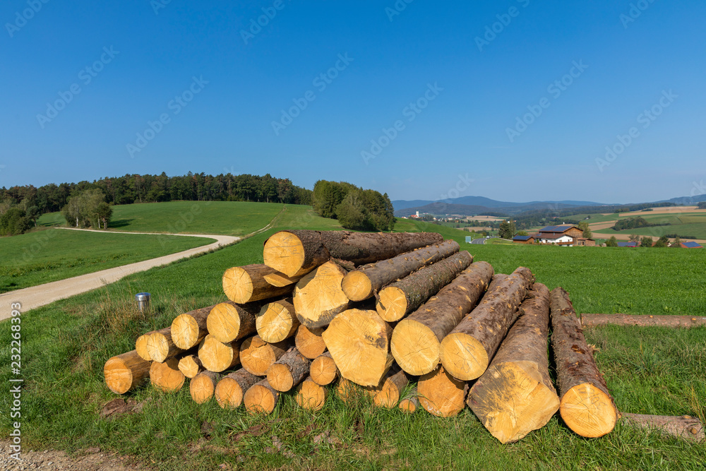 Way to a German village, Bavaria. Way to a German village, Bavaria.