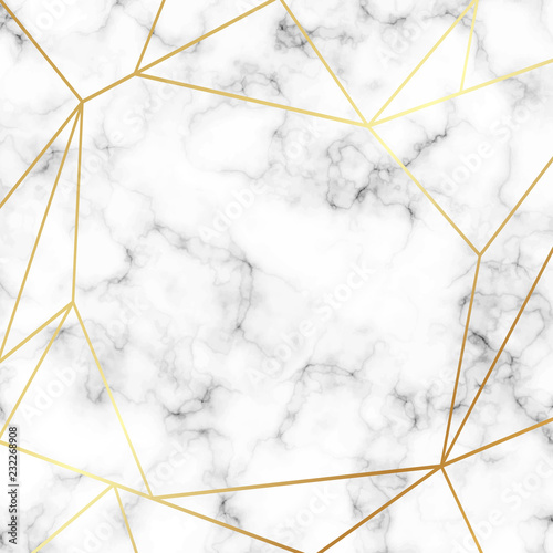 Beautiful marble background with gold lines vector