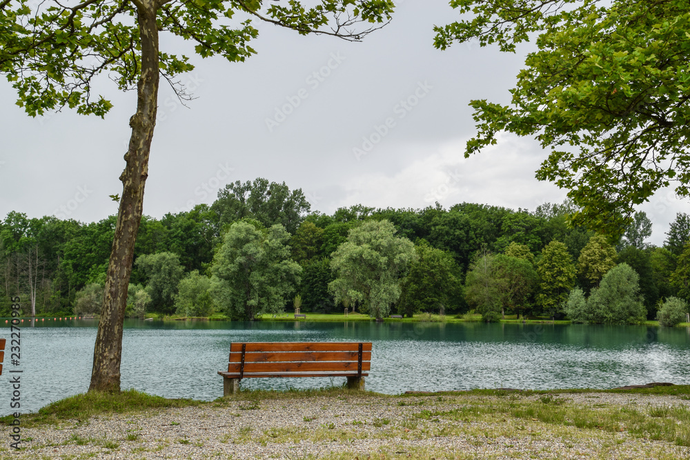 Obraz premium The park bench