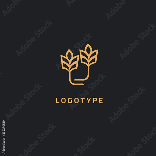 Vector stock logo, abstract nature sign. Illustration design of elegant, premium and royal logotype bakery, bread, agroculture, grain, millet, field, flour. Vector icon of gold ear.