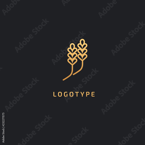Vector stock logo, abstract nature sign. Illustration design of elegant, premium and royal logotype bakery, bread, agroculture, grain, millet, field, flour. Vector icon of gold ear.