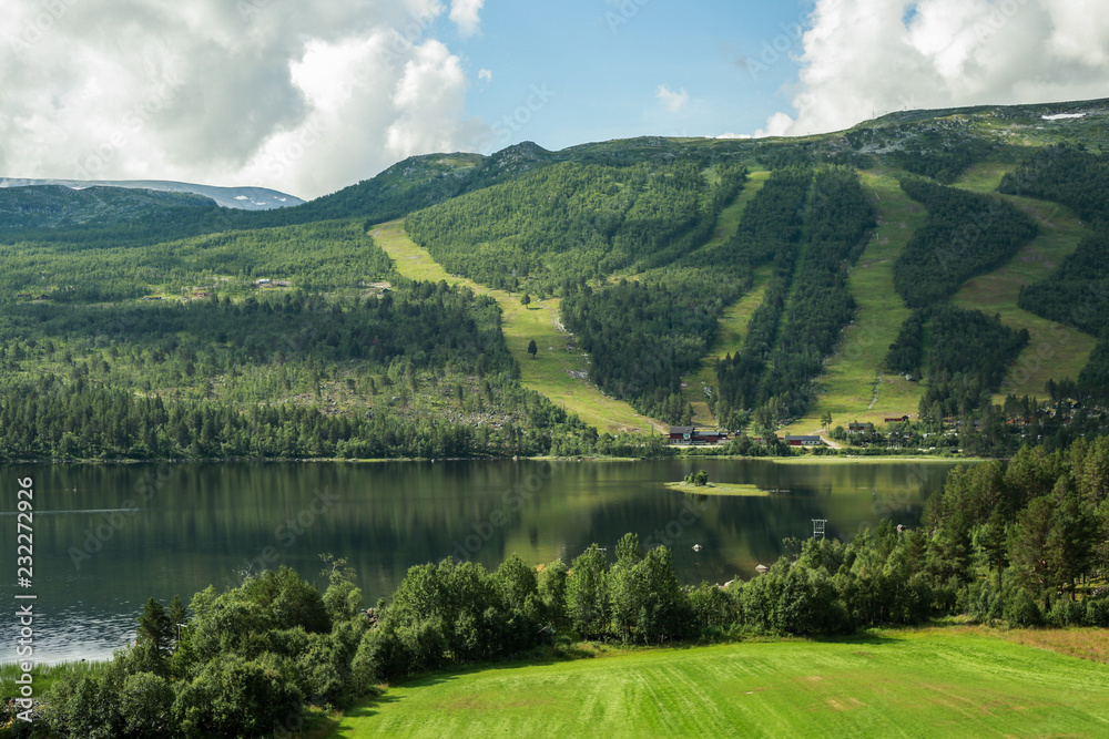 Fototapeta premium Norwegian river in the mountains