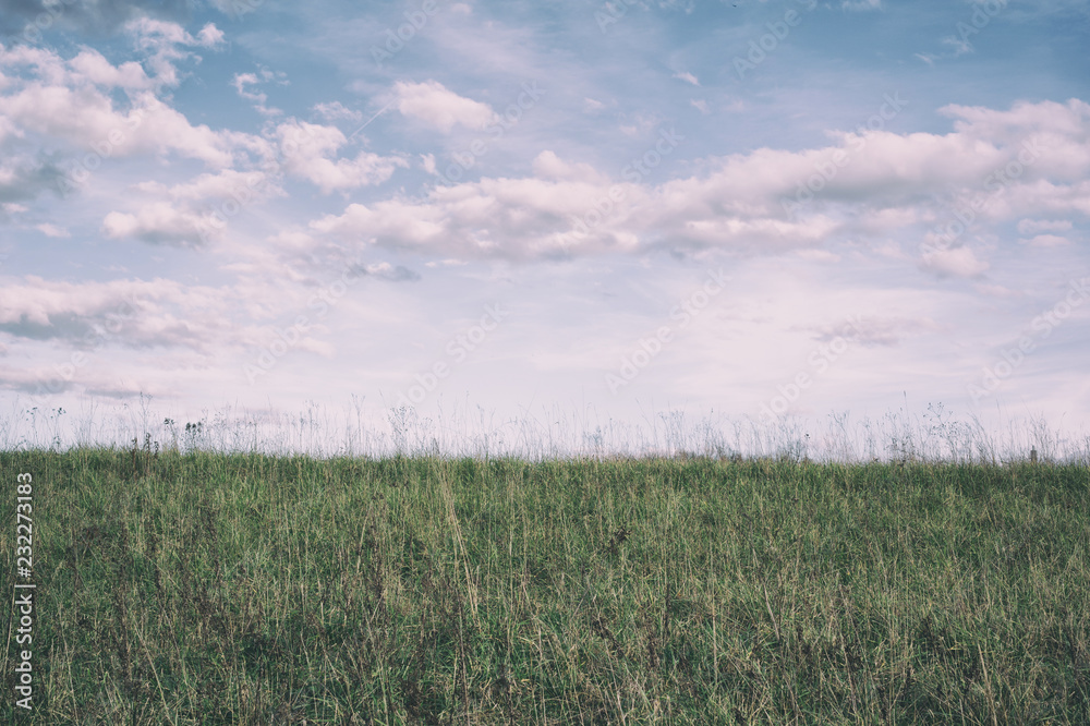 Obraz premium Horizon - grass on the meadow and sky with cloud. Minimalist landscape. Film simulation