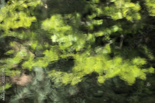 Foliage reflected on woodland stream  Gorges de l Areuses  ROmandie