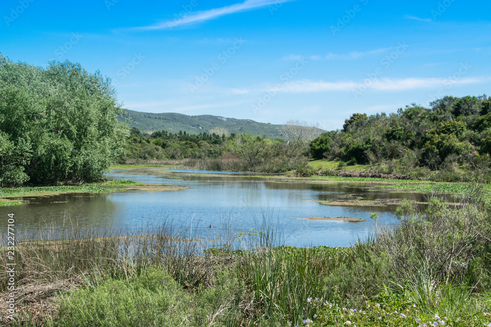 Fototapeta premium Nice river