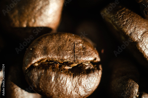 coffee cocoa beans © Макс Фед