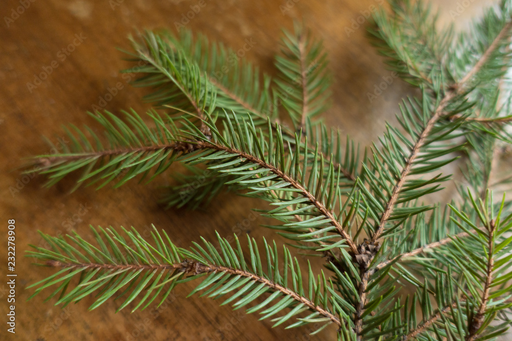 Needle like leaves of spruce branch on wooden table Needle like leaves of spruce branch on wooden table