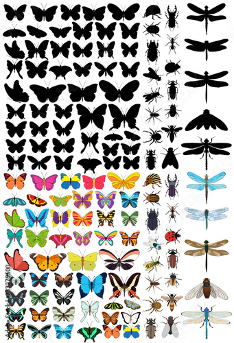set of insects, beetles and butterflies