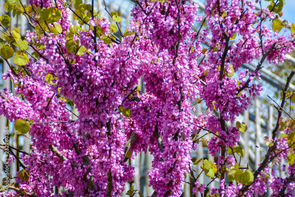 Sur les bords de Loire