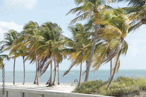 Florida beach