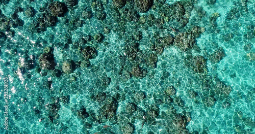 Fototapeta Naklejka Na Ścianę i Meble -  shark in the lagoon  in aerial view